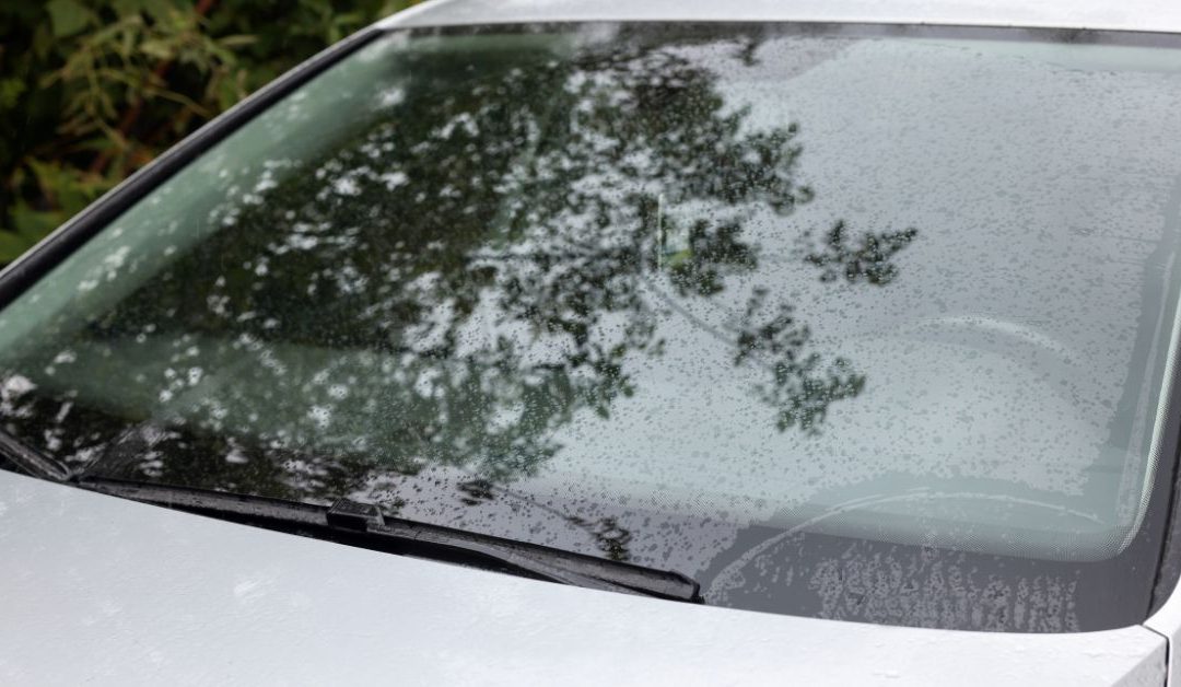 How It’s Made: Manufacturing a Windshield