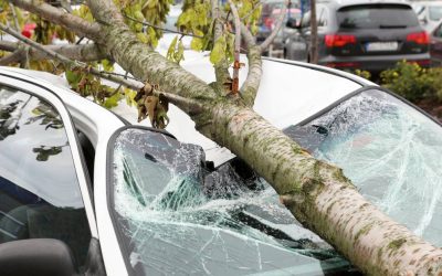 Could a Windshield Repair Claim Affect My Car Insurance?