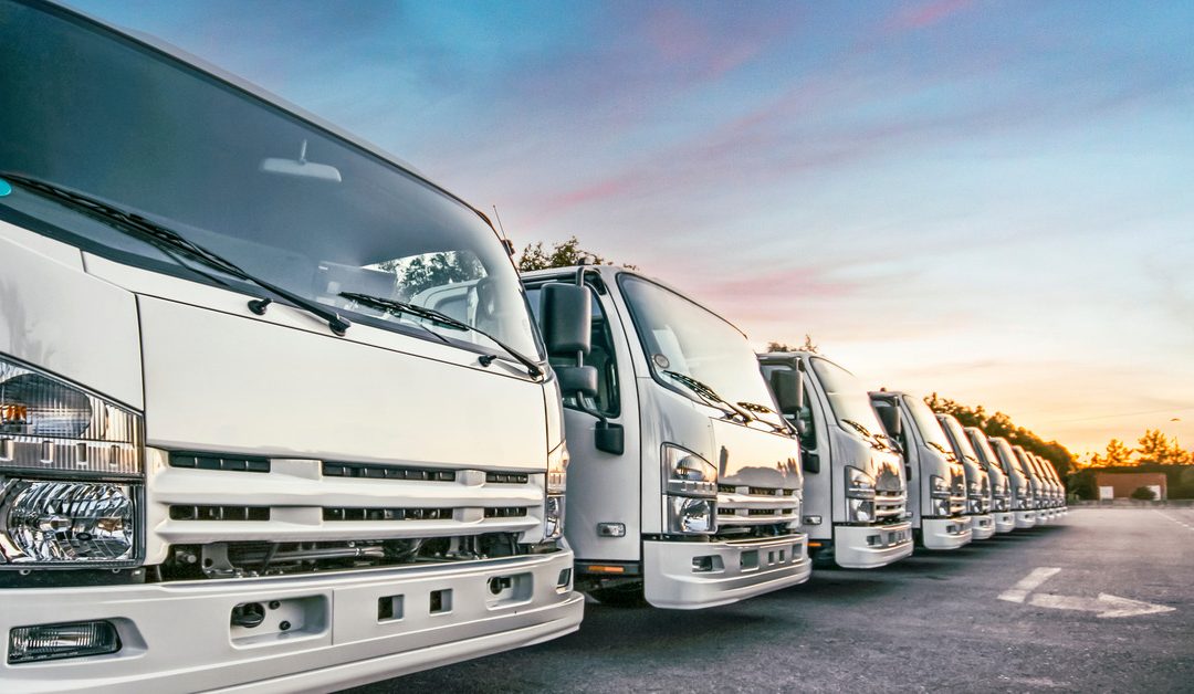 A fleet of large, white delivery trucks are lined up in a row in a parking lot as the sun is setting in the background.