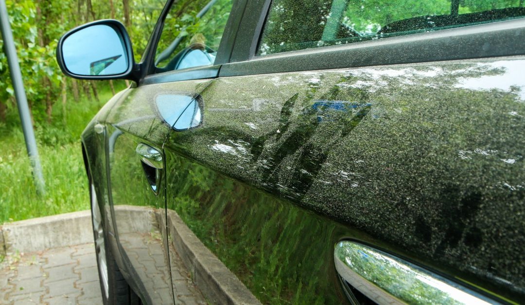 Why Pollen Is Worse for Your Car Than You Think