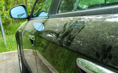 Why Pollen Is Worse for Your Car Than You Think